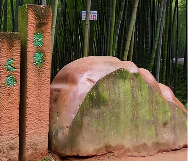 蜀南竹海在哪里