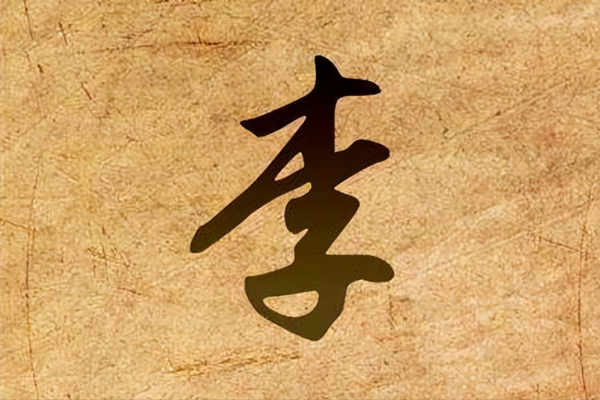 全球第一大姓氏是什么姓