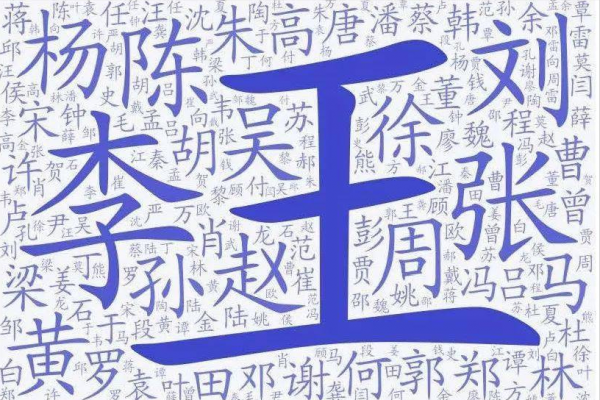 全球第一大姓氏是什么姓