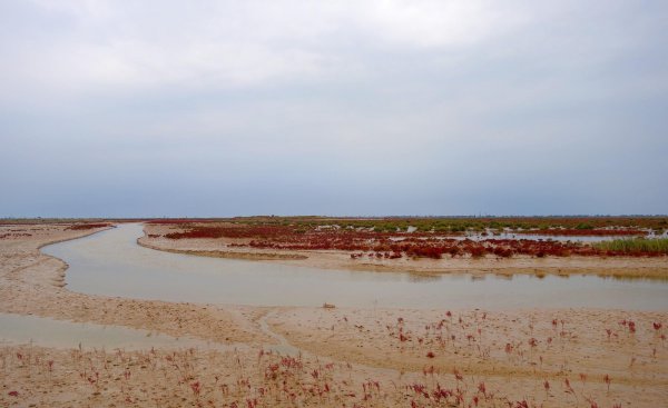 五一山东省内旅游最佳去处