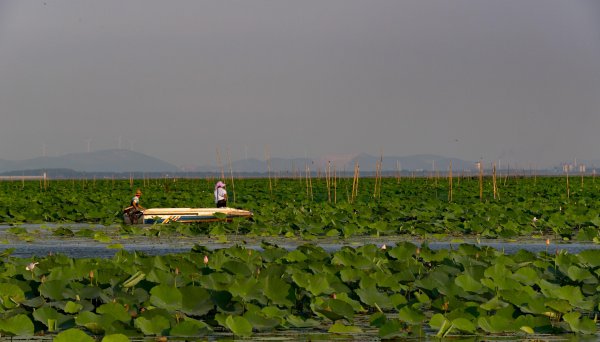 五一山东省内旅游最佳去处