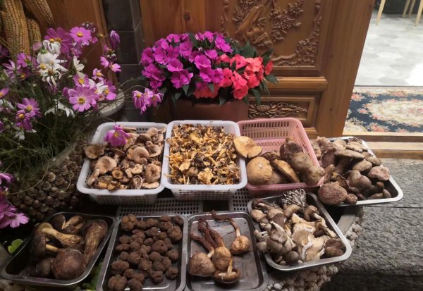 大理在哪里属于哪个省