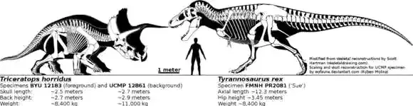 南方巨兽龙vs霸王龙谁厉害