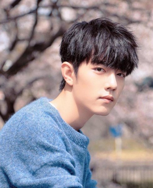 肖战为什么被全网黑