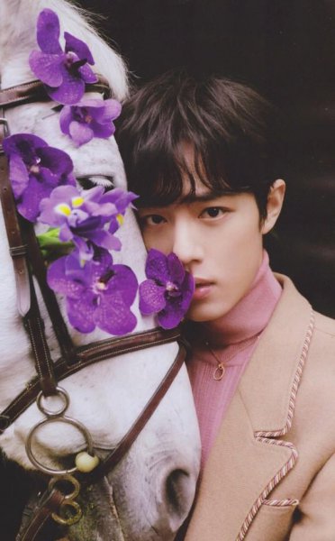 肖战为什么被全网黑