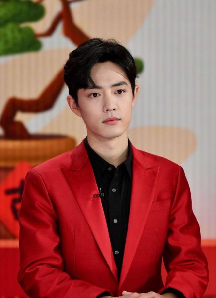 肖战为什么被全网黑