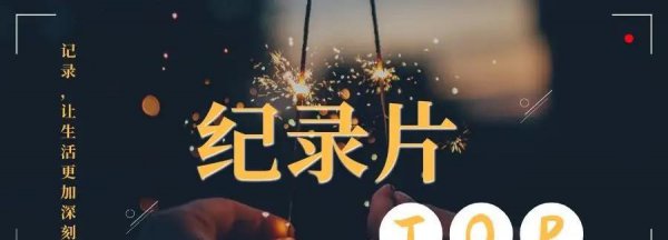 国内历史纪录片排行榜前十名