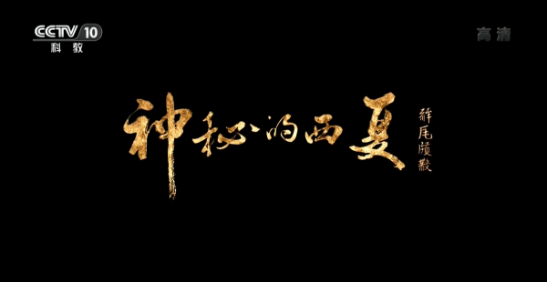 国内历史纪录片排行榜前十名