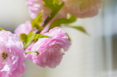 什么样的男生喜欢安静的女生 安静的女人受男生追捧的原因