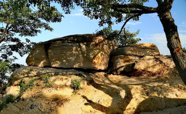 东临碣石以观沧海指的是哪个地方