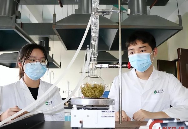 中药学就业前景和就业方向