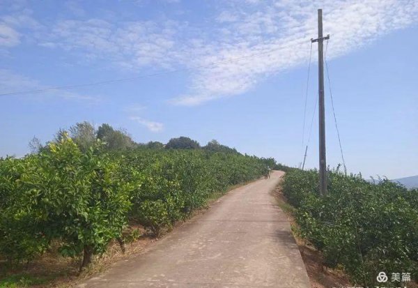 陕西汉中十大旅游景区介绍