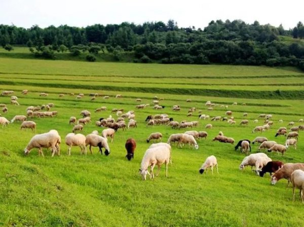 甘肃天水旅游景点大全