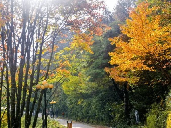 甘肃天水旅游景点大全
