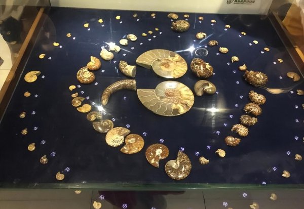 青岛黄岛区旅游景点大全