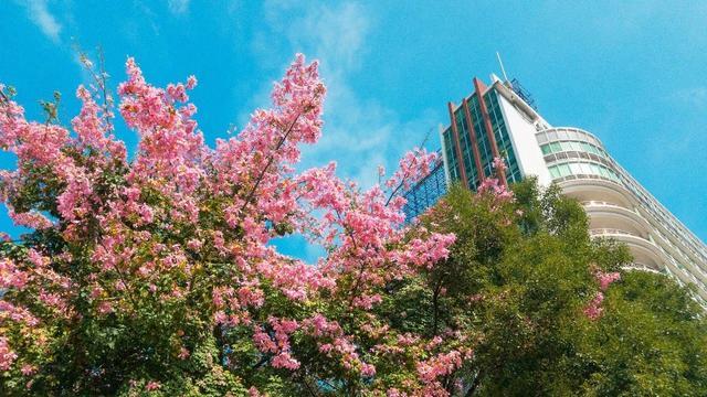 广州二本公办学校有哪些