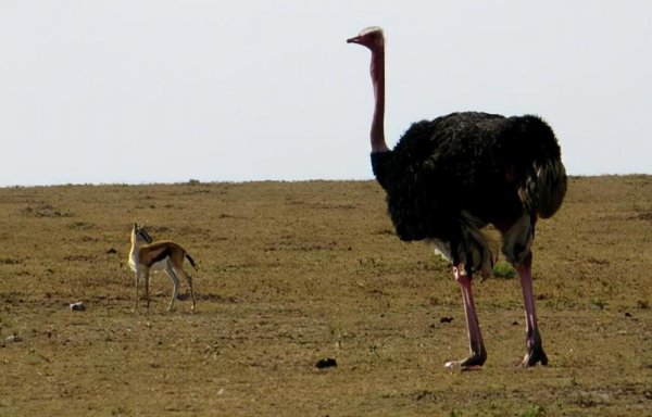 中国人口最少的姓氏