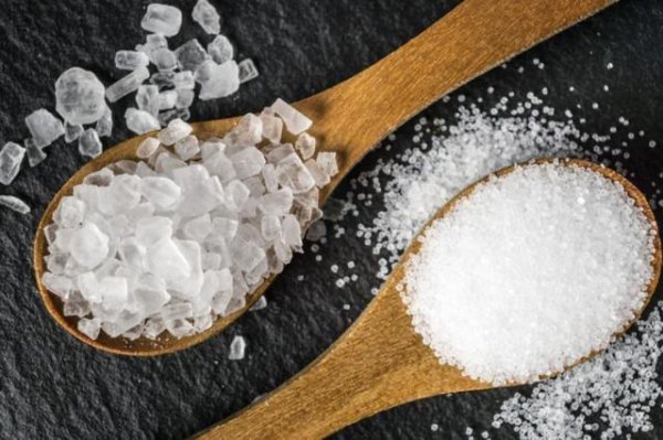 蚂蚁怎么能彻底消灭