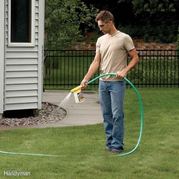 蚂蚁怎么能彻底消灭