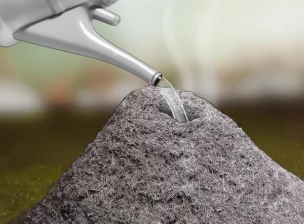 蚂蚁怎么能彻底消灭