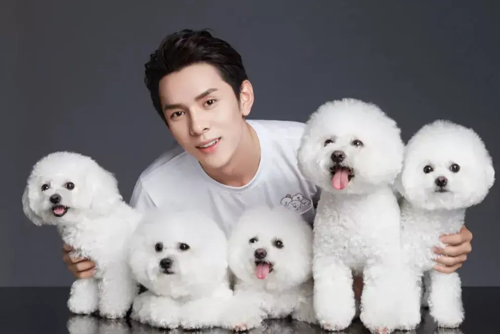 李佳琦和薇娅谁更厉害