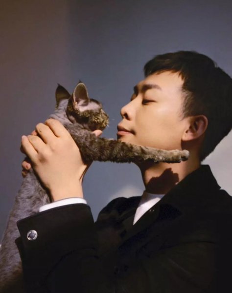 电影演员张译结婚了吗