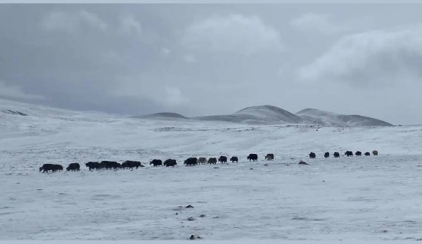 中国无人区有几个地方