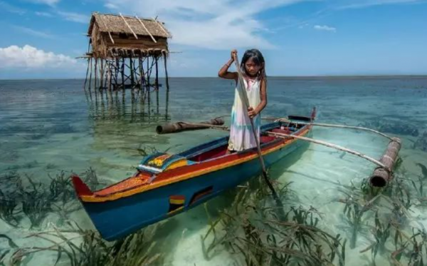 巴瑶族是哪个国家的