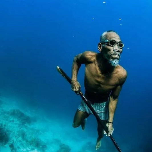 巴瑶族是哪个国家的