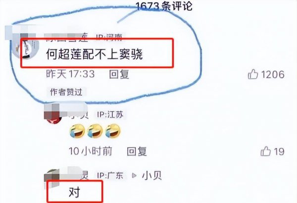 何超莲个人资料简介