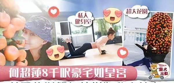 何超莲个人资料简介