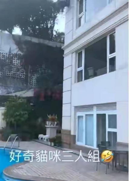 何超莲个人资料简介