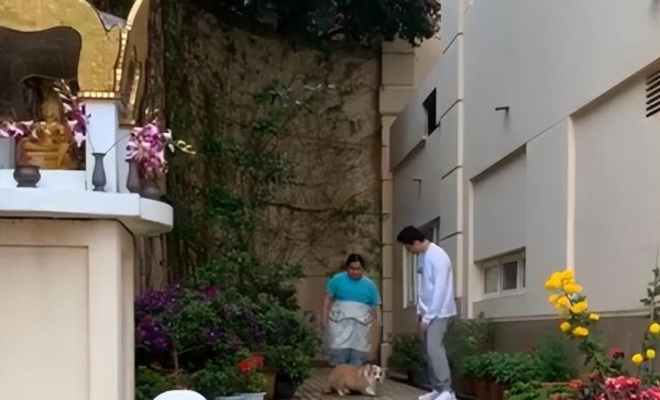 何超莲个人资料简介