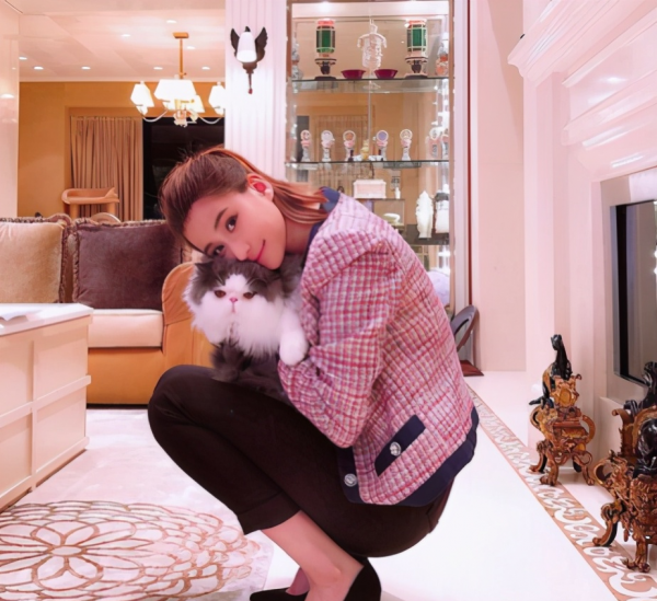 何超莲个人资料简介