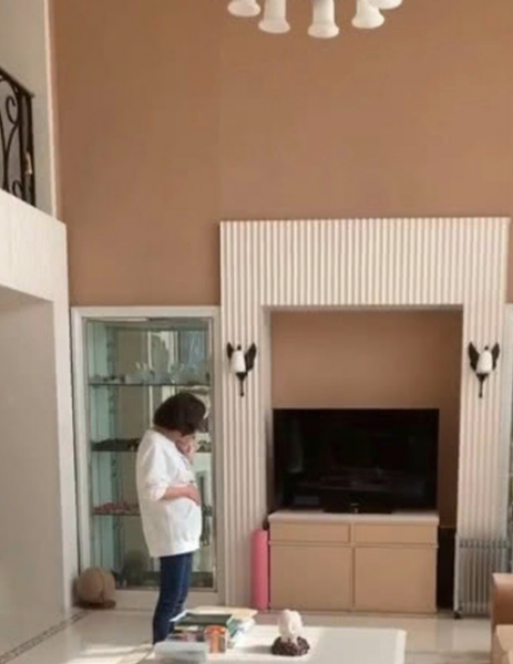 何超莲个人资料简介