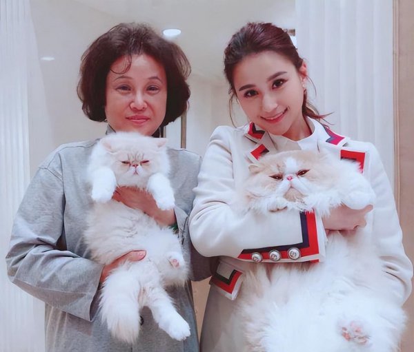 何超莲个人资料简介