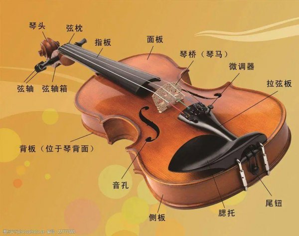 三大最难学的乐器