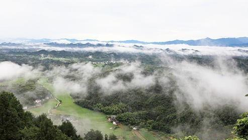 神话中张天师是什么神