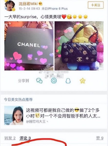 明星沈丽君个人资料简介