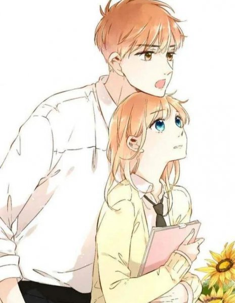 女主平凡老实男主强大高官的小说