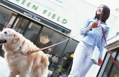 一般宠物店一年的利润多少 新手开宠物店具体流程