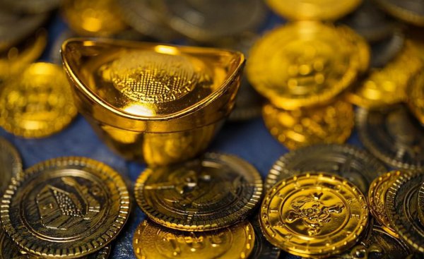 一般宠物店一年的利润多少