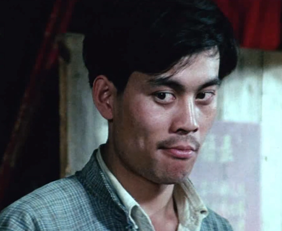 张光北老婆陈炜个人资料简介