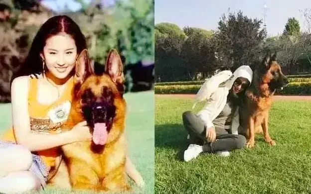 杨采钰家世条件好吗