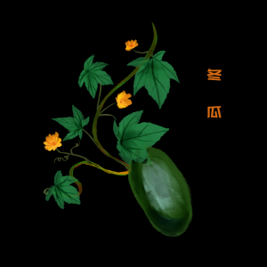 冬瓜为什么叫冬瓜 盛产于夏季的瓜为什么要叫冬瓜