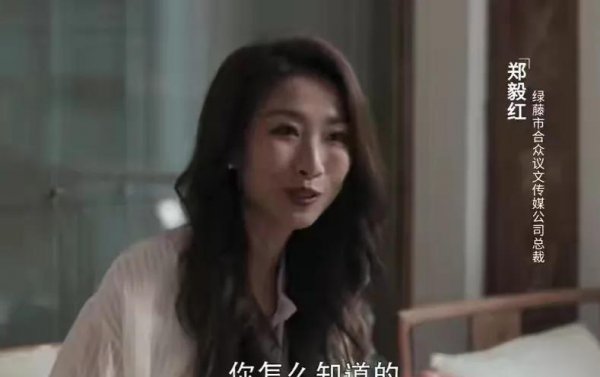 扫黑风暴高明远结局