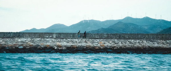 四海电影深度解析