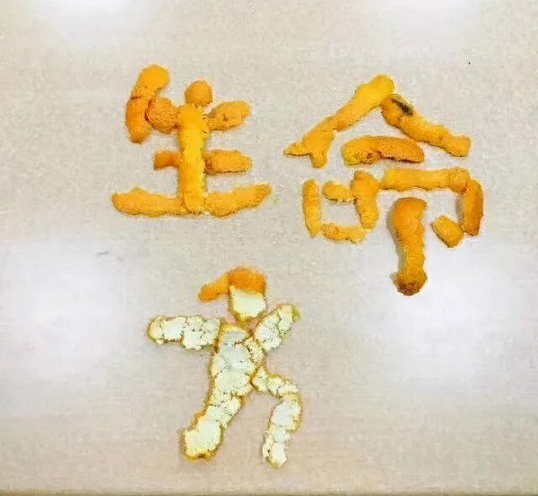 导师问研究生未来三年规划