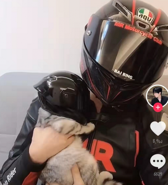 网红白冰做什么生意起家的