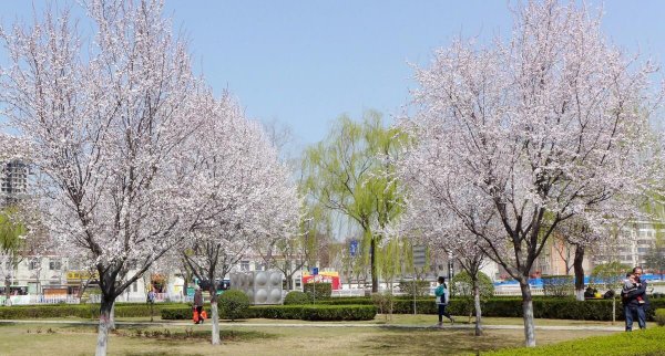 龙抬头的习俗有哪些